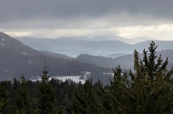 Hornisgrinde i Schwarzwald