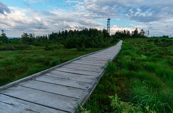 Hornisgrinde i Schwarzwald