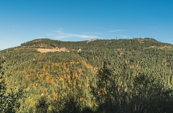 Hornisgrinde i Schwarzwald