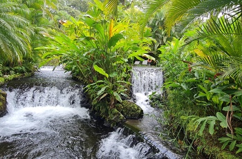 Varme kilder eller Hot Springs nær La Fortuna - Costa Rica