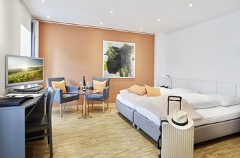 Hotel Rüdesheimer Schloss - Double Room