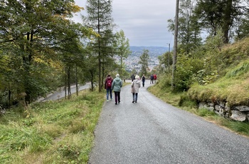 Vandretur ned fra bjerget Fløien i Bergen