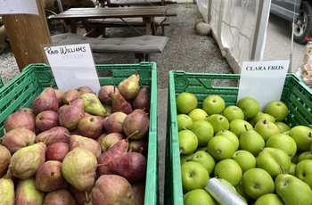 Steinstø frugtgård udsalg