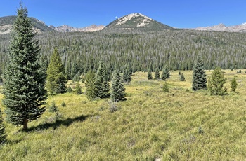 Sommer i Rocky Mountain National Park - USA