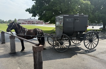 Parkeret hestevogn, Amish, Shipshewana, Indiana