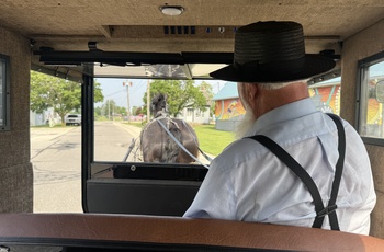 Buggy Ride i Shipshewana, Indiana