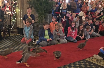 Peabody Hotel i Memphis - ducks march