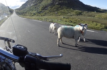 Henrietta på mc i Norge 