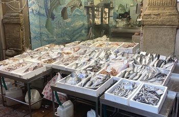 Markus Grigo på marked med fisk i Bologna - Italien