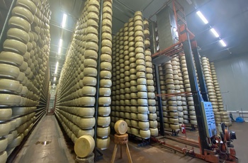 Markus Grigo og Susanne på lager med Parmigiano-Reggiano oste - Emilia-Romagna, Italien