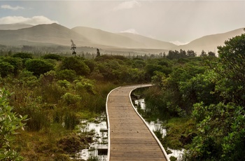 Irland, Ballycroy, County Mayo - boardwalk gennem moselandskab i Wild Nephin National Park