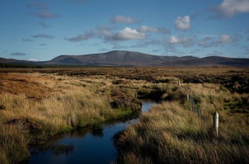 Irland, Ballycroy, County Mayo - en lille bæk løber gennem heden i Wild Nephin National Park