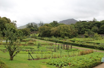 Irland, Connemara, Kylemore Abbey - køkkenhaven