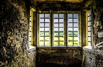Irland, County Cork - Blarney Castle set indefra