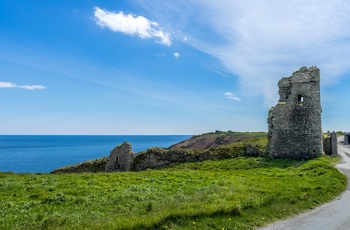 Irland, County Cork - de gamle borgruiner ved Old Head