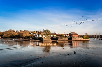 Irland, County Cork - ebbe i havnen ved Kinsale