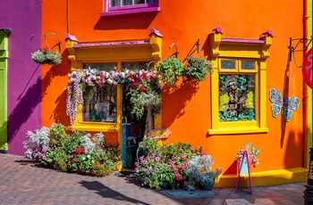 Irland, County Cork - farverne springer lige i øjet i Kinsale