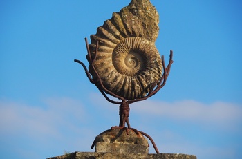 Irland, County Cork - fossil ved indgangen til Old Head