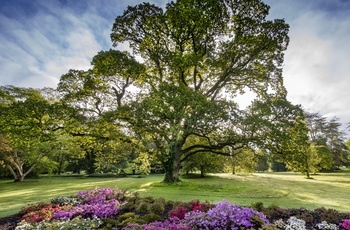Irland, County Cork - haven ved Blarney Castle and Gardens (Foto - Courtesy Blarney Castle and Gardens)