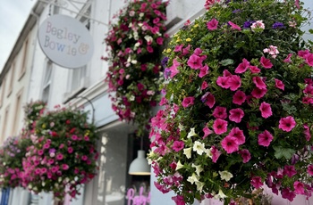 Irland, County Cork - sød beplantning på hus i Kenmare (Foto - Tourism Ireland by Sonja Parapatits)