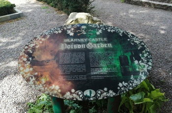 Irland, County Cork, Blarney Castle - den spændende Poison Garden  (Foto - Courtesy Eileen Coffey)