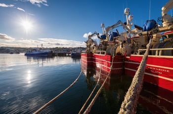 Irland, County Donegal - fiskekuttere i Killybegs havn (Foto - Courtesy Gareth Wray & Tourism Ireland)
