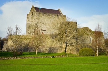 Irland, County Galway - Athenry Castle på en efterårsdag