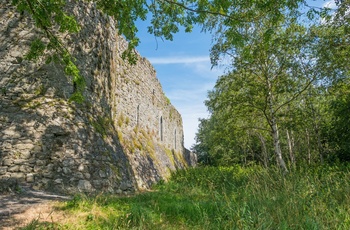 Irland, County Galway - ruiner af bygninger ved Athenry Castle