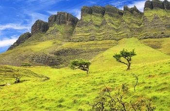 Irland, County Sligo - erosionerne i grønne bjerg Benbulbin