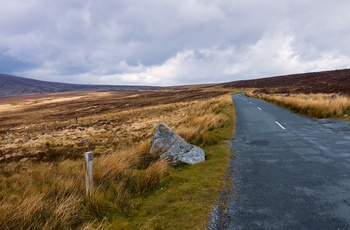 Irland, County Wicklow - den gamle Military Road over heden i Wicklow Mountains National Park