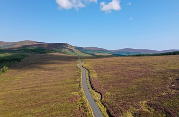 Irland, County Wicklow - den gamle Military Road tæt på Sally Gap