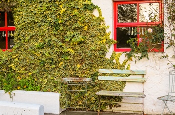 Irland, County Wicklow - idyl ved Avoca Mill det ældste væveri i Irland