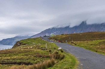 Irland, Donegal - vejen ud til Sliabh Liag