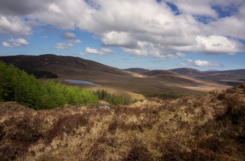 Irland, Furnace, County Mayo - rullende bakker med spredt solskin over tørvelandskabet i Wild Nephin National Park