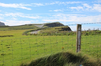 Irland, Ring of Kerry, Kerry Cliffs - herfra går det lodret ned