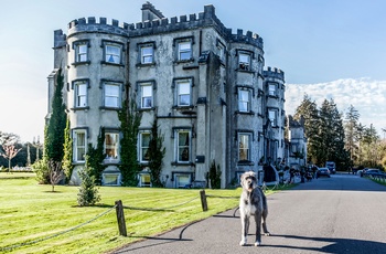 Ballyseede Castle, Irland