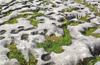 Burren National Park, Irland