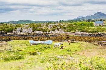 Irland Connemara