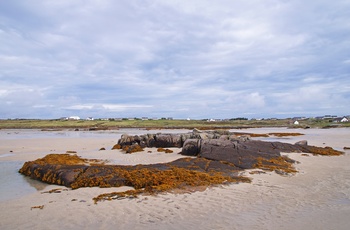 Kystlandskab, Connemara i Vestirland