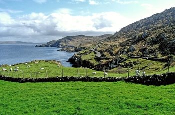 Kyststrækning tæt på byen Donegal i det nordvestlige Irland