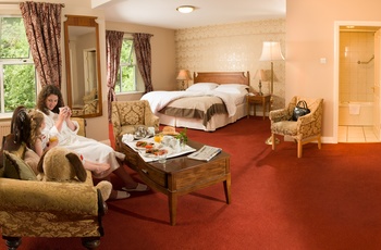Fitzgeralds Vienna Woods Hotel, Irland