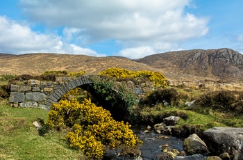 Gammel bro i Glenveagh Nationalpark, det nordvestlige Irland