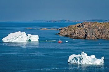 Isbjerge driver tæt på kystbyen Twillingate på Newfoundland - Canada