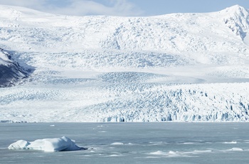 Fjallsárlón gletsjer lagune i Island