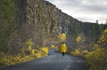 Ásbyrgi kløften i Jokulsargljufur nationalpark -nordlige Island