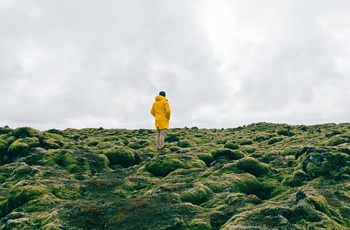 Oplev lavafeltet Eldhraun til fods, Island
