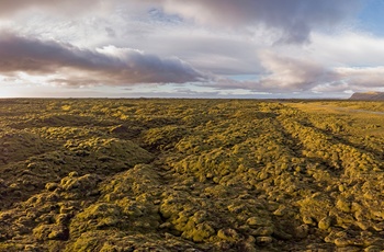 Lavafeltet Eldhraun i Island