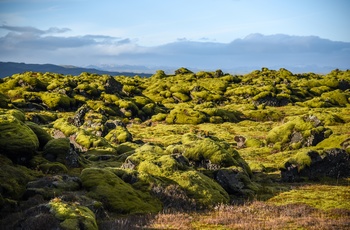 Lavafeltet Eldhraun i Island