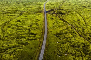 Vejen skærer sig gennem lavafeltet Eldhraun i Island