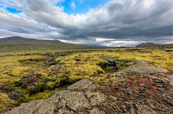 Hallmundarhraun-lavafeltet, Island